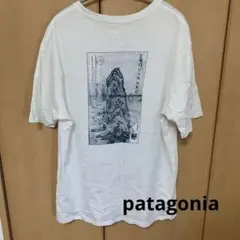 パタゴニア PATAGONIA Tシャツ レア？
