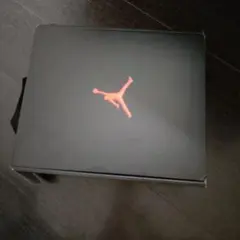 Jordan シューズケース ハンドル付き
