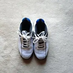 Item thumbnail for item 9b75a32d-eb93-434d-84c2-1807963a6701