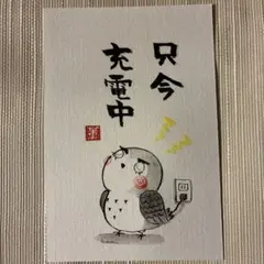 筆文字