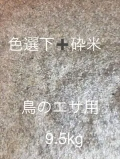 くず米(色選下+砕米) 9.5kg ✖️2のサムネイル