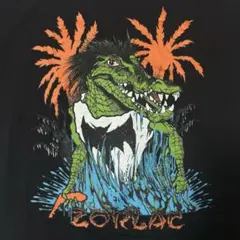 激レア 90s USA製 ZORLAC Donny Myhre Tシャツ 美品のサムネイル
