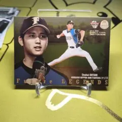 SEED様 リクエスト 2点 まとめ商品