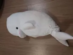 Item thumbnail for item 518a69ea-38c3-40ec-9932-af1d92b306e9