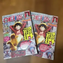 ワンピースマガジン　vol.20 ルフィ　付録プロモカード付き　2冊