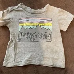 Patagonia　オーガニックコットンT　2T　キッズ