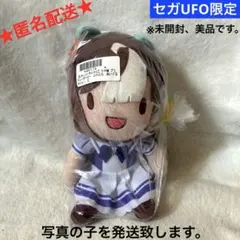 ウマ娘 プリティーダービーふわぷちぬいぐるみ vol.2 ホッコータルマエ