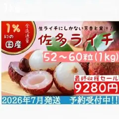 18.島津佐多ライチ 1kg　農薬化学肥料不使用 最終収穫SALE 12.島津佐多ライチ 1kg 農薬化学肥料不使用 最終収穫SALE - メルカリ