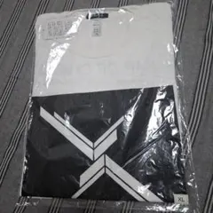 Item thumbnail for item 297f1d42-0191-498c-9bf1-0a0c4241d72b