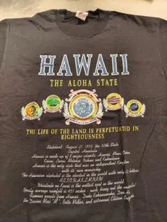 HAWAII Tシャツ USA製 ヴィンテージ L