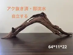 HX-262 流木　マシンガンウッド　ホーンウッド アクアリウム　ブランチウッド HX-262 流木 マシンガンウッド ホーンウッド アクアリウム ブランチ