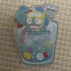 サンリオキャラクターズ アクリルブローチ ハンギョドン