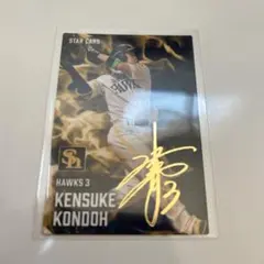 ザップル様 リクエスト 2点 まとめ商品