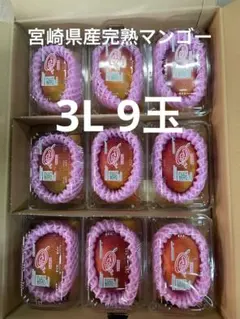 鹿児島県産完熟マンゴー10〜12個入（5キロ）残り2箱 鹿児島県産完熟マンゴー10〜12個入（5キロ）残り一箱 - メルカリ