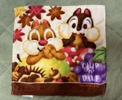 2025年最新】第一生命 タオル チップとデールの人気アイテム - メルカリ