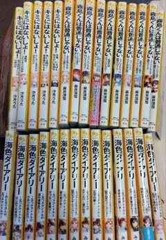 きぃちゃんママ様 リクエスト 2点 まとめ商品