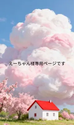 えーちゃん様専用ページです