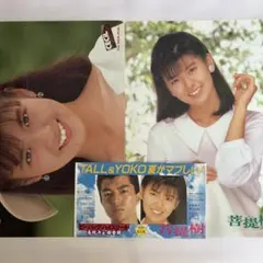 2026年最新】南野陽子 下敷きの人気アイテム - メルカリ