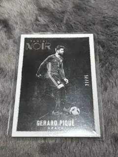 ハメス ロドリゲス Panini Noir ジャージカード 激レア 49枚限定