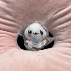 しずくちゃん　ふわふわぬいぐるみver.2 みるみるちゃん