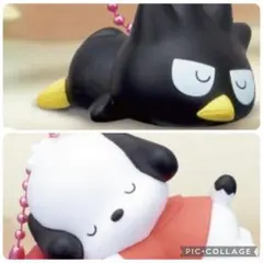 ★2種セット★ はぴだんぶい すやすやフィギュアチャーム ポチャッコ バツ丸