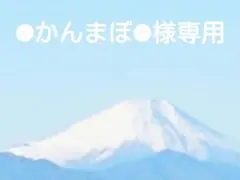 ☻かんまぼ☻様専用　リクエスト商品おまとめ