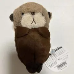 ブルーブルーエ　海の哺乳類ぽちゃぬいぐるみ　ぽちゃぬい　ラッコのサムネイル