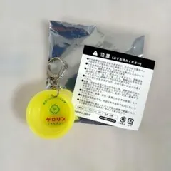 ケロリン キーホルダー いつでもいっしょ　リラックマ　キイロイトリ