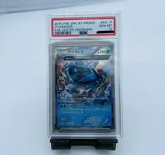 ポケモンカード　広島限定　ギャラドス　プロモ　PSA10 ギャラドス ポケセン プロモ XY ヒロシマ 広島 PSA10の通販