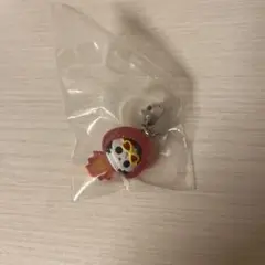 ONEPIECE めじるしアクセサリー ブルック