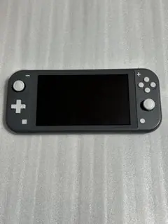 Nintendo Switch Lite グレー 本体