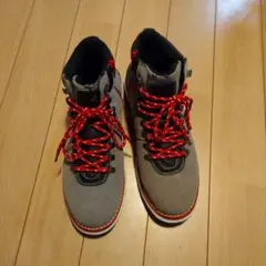 Item thumbnail for item 843cce13-2320-4133-b16c-b5c46284b8b8