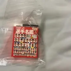 サッカーダイジェスト Jリーグ 選手名鑑 ガシャポン　2021 J1
