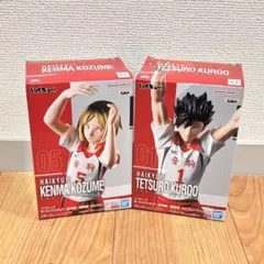 ハイキュー!! ポージングフィギュア 孤爪研磨 黒尾鉄朗 2種