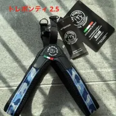 Item thumbnail for item 2ec2b5a0-a332-42b5-a9eb-c3c17ff98fb1