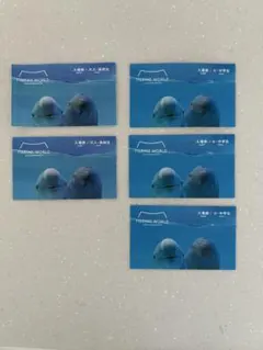 マリンワールド MARINE WORLD 入場券 5枚セットのサムネイル