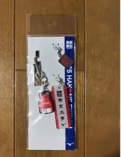 新品】2025年箱根駅伝 中央学院大学 キーホルダー - メルカリ