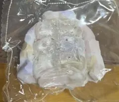 スクイーズ キラキラ ダウン 服