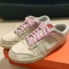 NIKE　ダンクロー　29cm