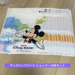 【ディズニー】東京ディズニーリゾート ショップ袋 10枚セット