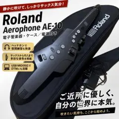 Roland Aerophone AE-10 グラファイトブラック ケース電源付のサムネイル