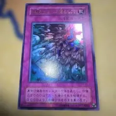PSA10 硫酸のたまった落とし穴 二期 ウルトラパラレル ウルパラ 遊戯王 15514 遊戯王 2期 ウルパラ 良品 硫酸のたまった落とし穴 P5-05 - メルカリ
