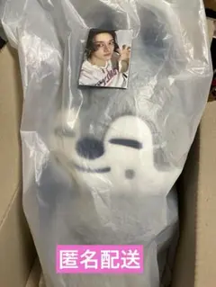 Straykids ポップアップ ウルフチャン SKZOO PLUSH BAG