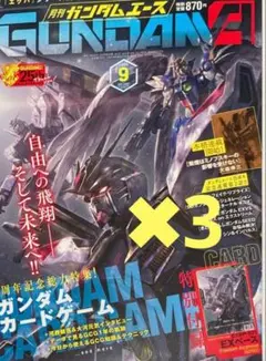 月刊ガンダムエース9月号　付属プロモカード　未開封　3枚セット 付録プロモのみ 3枚セット 月刊ガンダムエース9月号 付属プロモカード