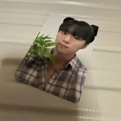 ジュンソ トレカ