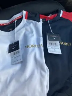 Item thumbnail for item 92a61ae7-6df3-41b1-88f7-537b78c6d76f