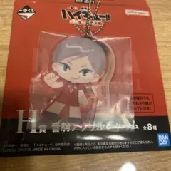 ハイキュー 一番くじ ゴミ捨て場の決戦 2 音駒アクリルチャーム 灰羽リエーフ
