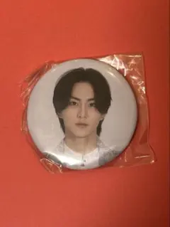 ENHYPEN ミュージアム ジョンウォン 缶バッジ