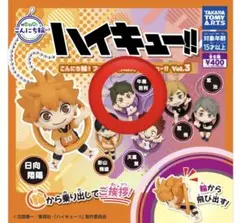 ハイキュー!! こんにち輪　牛島若利