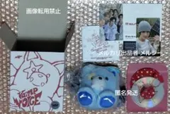 ENHYPEN THE SIN VANISH ボイスキーリング ジョンウォン